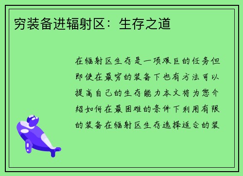穷装备进辐射区：生存之道